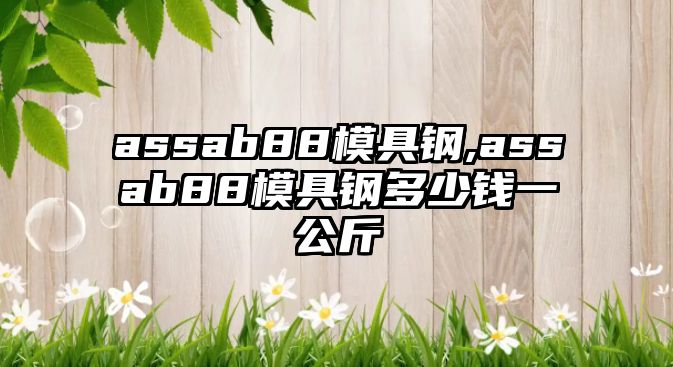 assab88模具鋼,assab88模具鋼多少錢一公斤