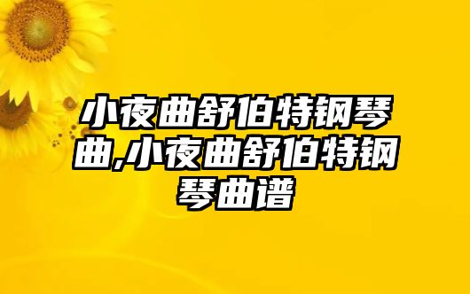 小夜曲舒伯特鋼琴曲,小夜曲舒伯特鋼琴曲譜