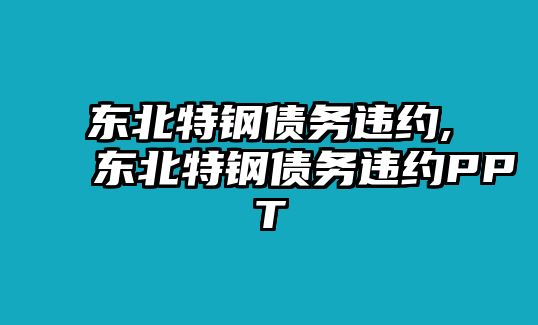 東北特鋼債務(wù)違約,東北特鋼債務(wù)違約PPT