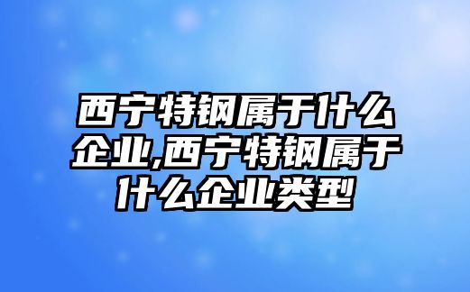 西寧特鋼屬于什么企業(yè),西寧特鋼屬于什么企業(yè)類型