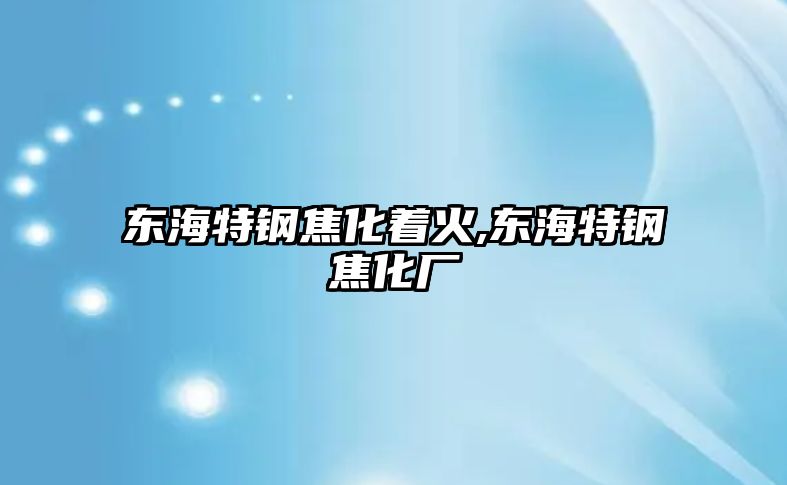 東海特鋼焦化著火,東海特鋼焦化廠