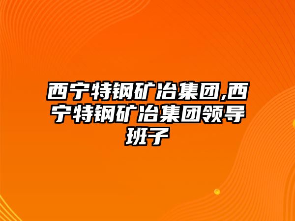 西寧特鋼礦冶集團,西寧特鋼礦冶集團領導班子