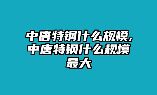 中唐特鋼什么規(guī)模,中唐特鋼什么規(guī)模最大