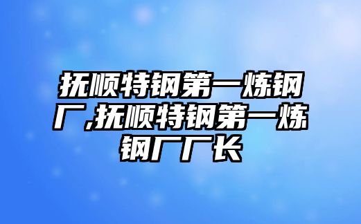 撫順特鋼第一煉鋼廠,撫順特鋼第一煉鋼廠廠長(zhǎng)