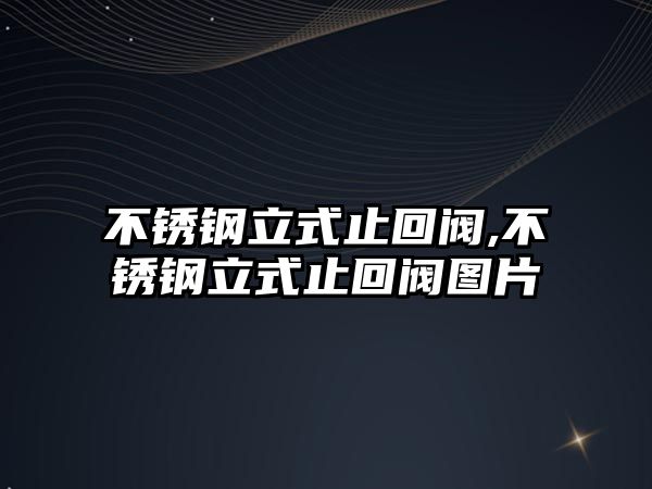 不銹鋼立式止回閥,不銹鋼立式止回閥圖片