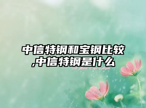 中信特鋼和寶鋼比較,中信特鋼是什么