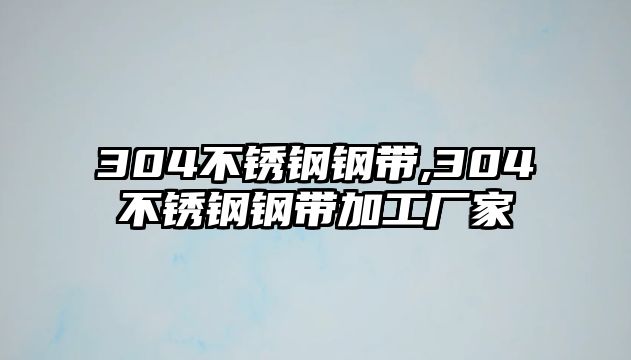 304不銹鋼鋼帶,304不銹鋼鋼帶加工廠家