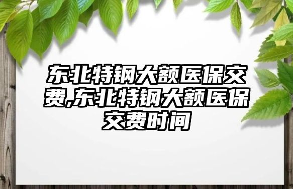 東北特鋼大額醫(yī)保交費(fèi),東北特鋼大額醫(yī)保交費(fèi)時(shí)間